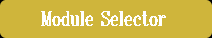 Module Selector